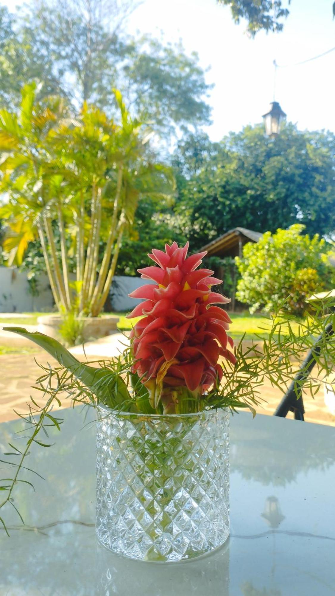 Santa Maria Hotel Luaran gambar